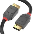 Produktbild: LINDY 36484 5m DisplayPort 1.4 Kabel, Anthra Line
