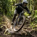 Produktbild: Federgabel RockSh.Psylo Gold Isolator RC 29