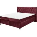 Produktbild: Boxspringbett - burgund - Tonnentaschenfederkern - H2 - 160x200 cm