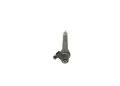 Produktbild: Einspritzdüse Common Rail 0 445 110 646 BOSCH für AUDI SEAT SKODA VW