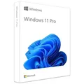 Produktbild: Microsoft Windows 11 Pro DE ESD