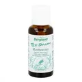 Produktbild: Teebaum Mundwasser
