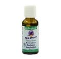 Produktbild: Bergland-Pharma GmbH & Co. KG Mundwasser TEEBAUM MUNDWASSER, 30 ml