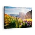Produktbild: Bilder auf Leinwand Berge Wiese Blumen Leinwandbild mit Rahmen 70x50cm Wandbilder Dekoration Wohnzimmer Schlafzimmer Küche Deko Klein Wanddeko Bild Wand Kunstdruck Art Wall Decor Canvas AA70x50-4008