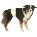 Produktbild: Trixie Rüdenwindeln M-L 46-60 cm | 12 Stück Hundewindeln