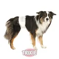 Produktbild: TRIXIE 2X Rüdenwindeln, Hundewindeln - Einwegwindeln, 12 Stück (M-L, 46-60 cm)