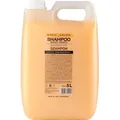Produktbild: Stapiz | Friseurschampoo BASIC - 5000 ml - Pflegendes Haarshampoo - Feuchtigkeit - Glanzpflege
