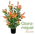 Produktbild: Kunstblume Künstliche Glanzmispel Photinia Kunstpflanze Künstliche Pflanze 70 cm, Decovego