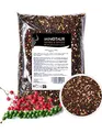 Produktbild: Minotaur Spices | Pfeffer bunt ganz | 2 x 500g (1 Kg) | Bunter Pfeffer aus schwarzen, weißen, grünen Pfefferkörnern und Rosa Beeren