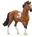 Produktbild: SCHLEICH 13978 HORSE CLUB MANGALARGA MARCHADOR HENGST NEU OVP