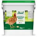 Produktbild: HÜHNER Land Mineral Kraft für Hühner 5kg, Muschelschrot, Muschelgrit