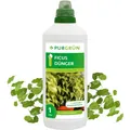 Produktbild: Purgrün Ficus Dünger, NPK 10+4+6, für grüne Blätter, 1L