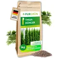 Produktbild: Purgrün Thuja Dünger, NPK 9+4+8, für sattgrüne, dichte Hecken, 1 kg