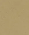 Produktbild: Rasch Vliestapete 520897 Braun-Ockerbraun Uni 10,05 m x 0,53 m