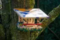 Produktbild: Vogelhaus Bausatz 4 Farben Malset Vogelfutterhaus Futterstation Holz Bastelset