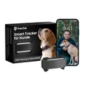 Produktbild: Tractive GPS Tracker Hund | 2025 Edition | Live-Ortung | Weglaufalarm | Aktivitätstracking | Gesundheitswarnungen | Bellverhalten | Empfohlen von Martin Rütter (Schwarz)