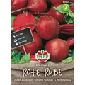 Produktbild: Rote Rüben Rote Kugel 2