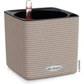 Produktbild: Lechuza Übertopf CUBE Color 14, sandbraun, 14 x 14 x 14 cm, aus Kunststoff, für innen, mit Wasserspeicher und Innentopf
