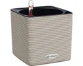 Produktbild: Blumentopf Lechuza Cube Color Kunststoff 14x14x14 cm sandbraun inkl. Erdbewässer
