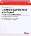 Produktbild: GLANDULA SUPRARENALIS suis Injeel Ampullen 1,1 ml
