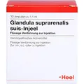 Produktbild: GLANDULA SUPRARENALIS suis Injeel Ampullen 10 St