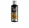 Produktbild: Naturaleza Y Vida Haarshampoo Colorsafe Shampoo Black 300ml