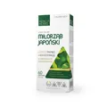Produktbild: Medica Herbs Ginkgo Biloba (Ginkgo biloba) 120 mg 60 Kapseln