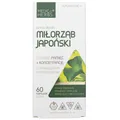 Produktbild: Medica Herbs Ginkgo Biloba 120 mg 60 Kapseln - Gedächtnis Konzentration