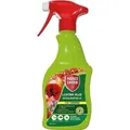 Produktbild: Protect Garden Lizetan Plus Schädlingsfrei AF 500 ml