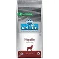 Produktbild: FARMINA Vet Life Dog Hepatic 12kg+Überraschung für den Hund