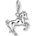 Produktbild: Thomas Sabo Charm Sterling Silver 1074-007-12 86397501