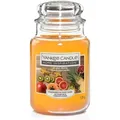 Produktbild: Yankee Candle Duftkerze Großes Glas Exotic Fruits 538 g, orange Duft Kerze