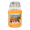 Produktbild: Yankee Candle Exotic Fruits – Mango, Orange und Ananas mit Moschus erweicht Tropischer Sommerduft – Groß