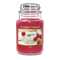 Produktbild: Yankee Candle Duftkerze im Glas (groß) | Cherries on Snow | Brenndauer bis zu 150 Stunden