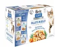 Produktbild: BRIT Care Multipack Fillets in Jelly 12x85g