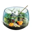 Produktbild: Clementoni - Harry Potter - Terrarium (19286)