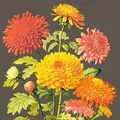 Produktbild: Airlaid Serviette Amara, 40 x 40 cm, 50 Stück - Mank - Floral Chrysanthemen Herbst