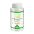 Produktbild: Dr.Jacob's VerdauungsHIT Enzyme+Ingwer+Schwarzkümmel+Kamille 90 St