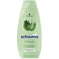 Produktbild: Schauma Frische Shampoo mit Sieben Kräuter für fettendes Haar 400ml