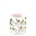 Produktbild: Ambiente Kerze Vogel Treff - Pillar Candle, Neutral Duft, Zylindrisch, 8 cm Höhe, 7,5 cm Durchmesser, ca. 35 Stunden Brenndauer