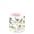 Produktbild: Ambiente Kerze Stumpenkerze Wachswindlicht 9 cm  Vogel Motiv  / birds meeting
