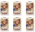 Produktbild: 6x Poly Palette Vital Color Intensive Creme-Haarfarbe 10-11 Silberblond natürlich-aussehende & langanhaltende Coloration, permanente Coloration auch bei weißem Haar 115 ml (6er Pack)