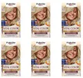 Produktbild: 6x Palette Vital Color Intensive Creme-Haarfarbe 10-11 Silberblond, 115ml
