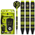 Produktbild: WINMAU Michael Van Gerwen MvG Ambition 20g Profi Brass Softip Dartpfeile Set mit Flights und Schäfte
