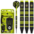 Produktbild: Michael Van Gerwen MvG Ambition 20g Profi Brass Softip Dartpfeile Set mit Fli...