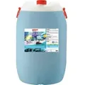 Produktbild: SONAX Antifrost & Klarsicht Scheibenreiniger Konzentrat, Citrus 03328050 , 60 Liter - Kanister
