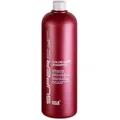 Produktbild: HAIR HAUS Super Brillant Care Color Shampoo 1000 ml
