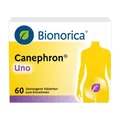 Produktbild: Canephron® Uno bei Blasenentzündung – mit 4-fach Wirkung