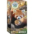 Produktbild: Eurographics Rote Pandas (250 Teile) (8251-5557)