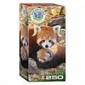 Produktbild: eurographics Puzzle - Rote Pandas - 250 Teile 301271